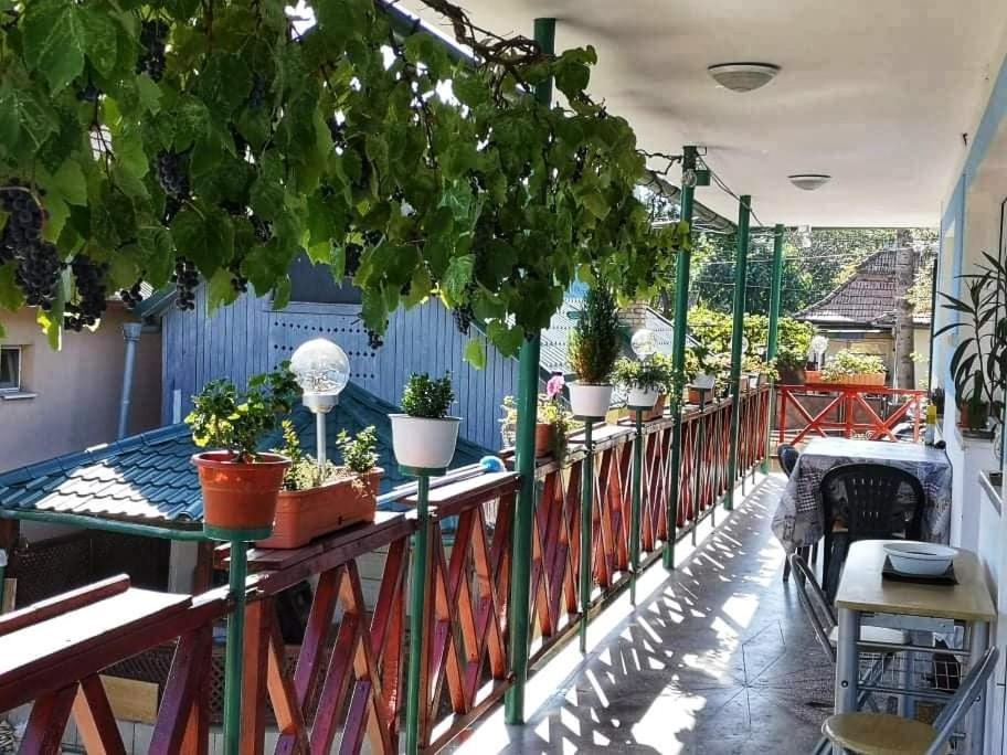 Hotel Casa Vinco Vici à Turda Extérieur photo
